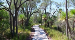Nature trail with trees