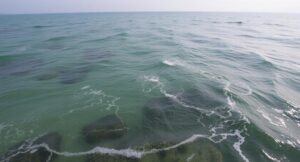 ocean 