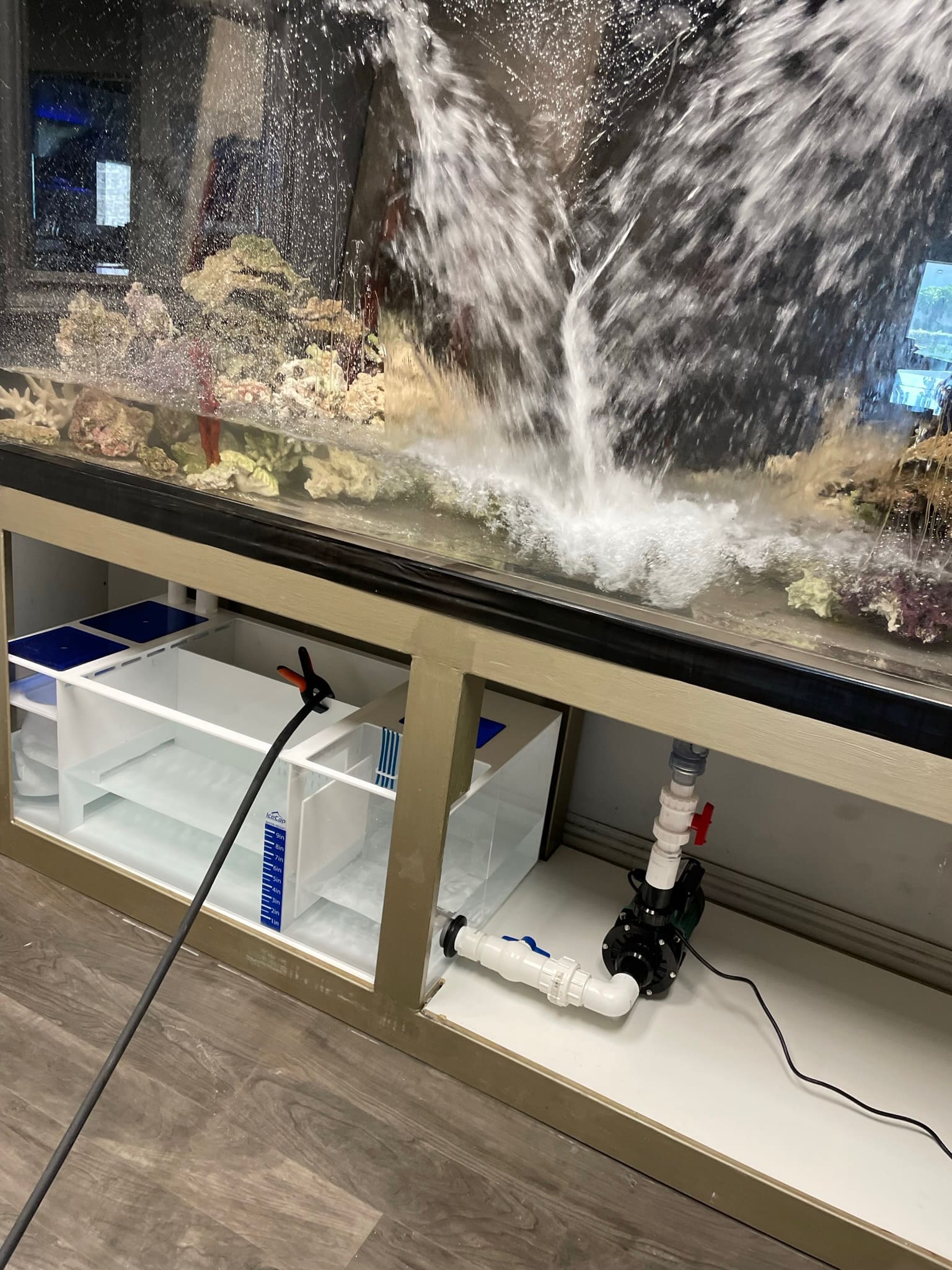 Understanding Aquarium Filtration Systems: A Comprehensive Guide