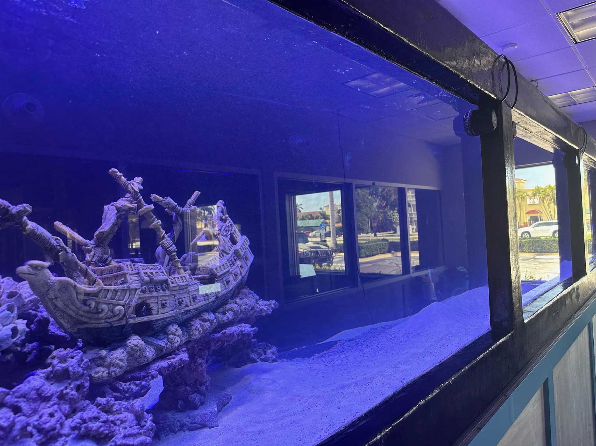 The Importance of a Strong Aquarium Stand for Large Tanks