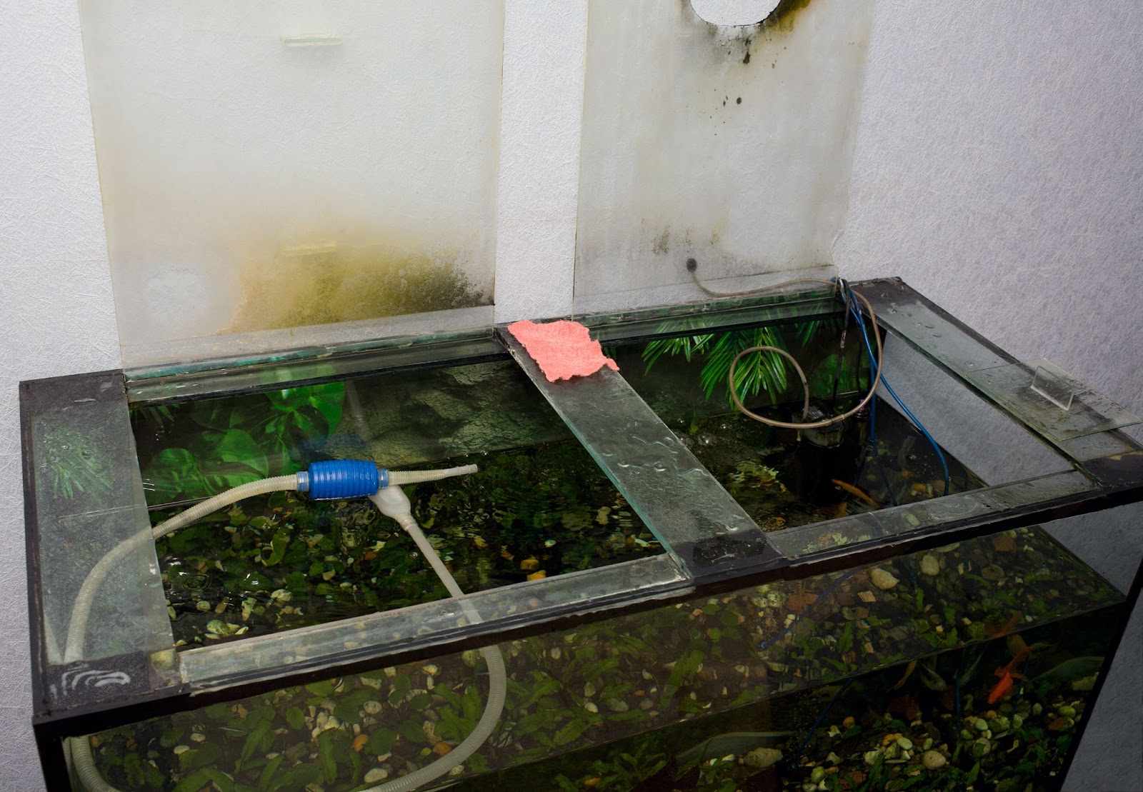 aquarium filtration