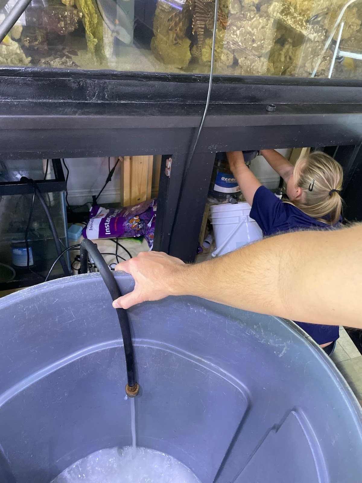aquarium filtration